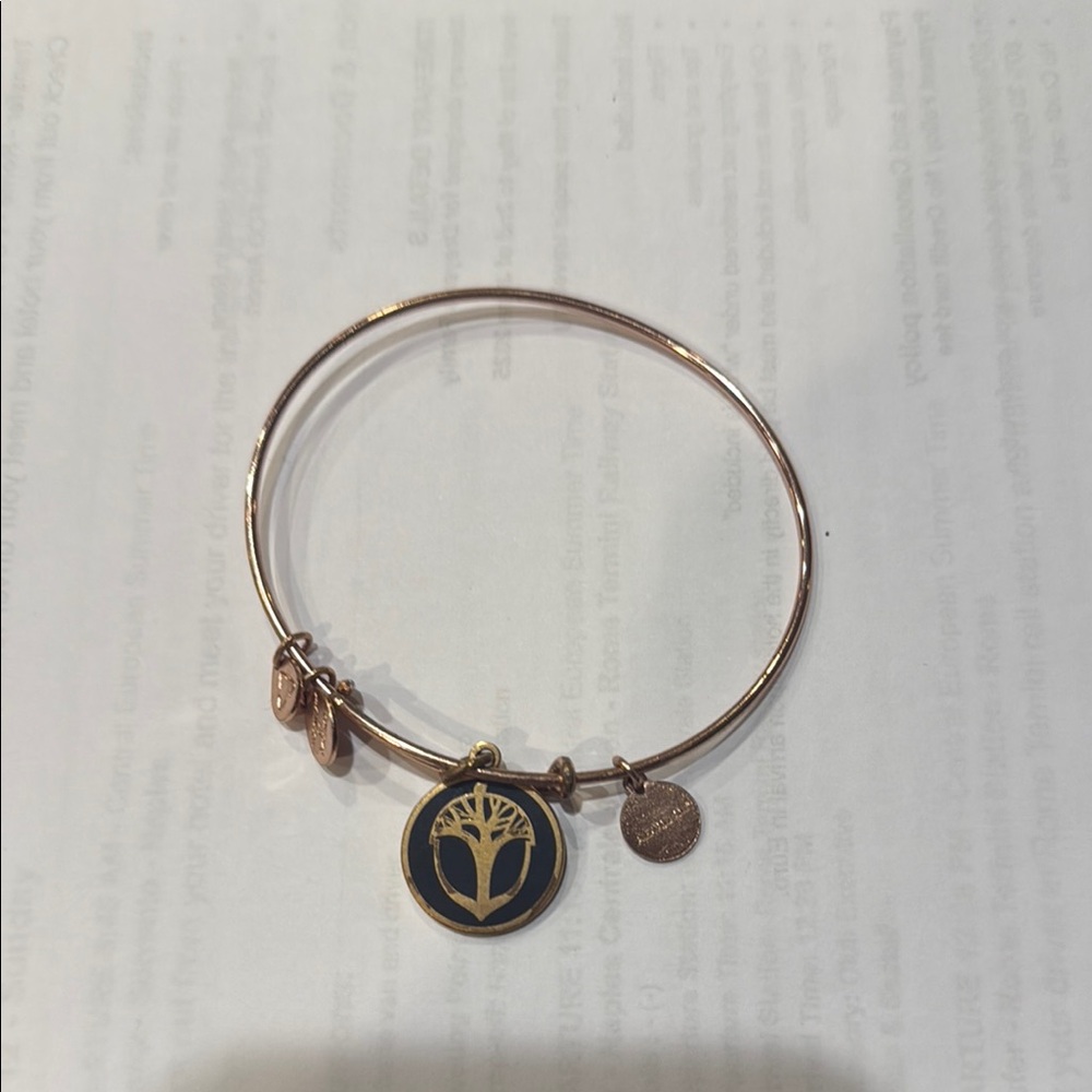 Alex and Ani Gold and Black Charm Bracelet